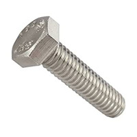 Hex Cap Bolt M20X152mm 6"