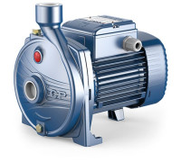 Pedrollo Surface Pump 1HP